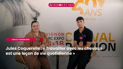 Jules Coquerelle : « Travailler avec les chevaux est une leçon de vie quotidienne »