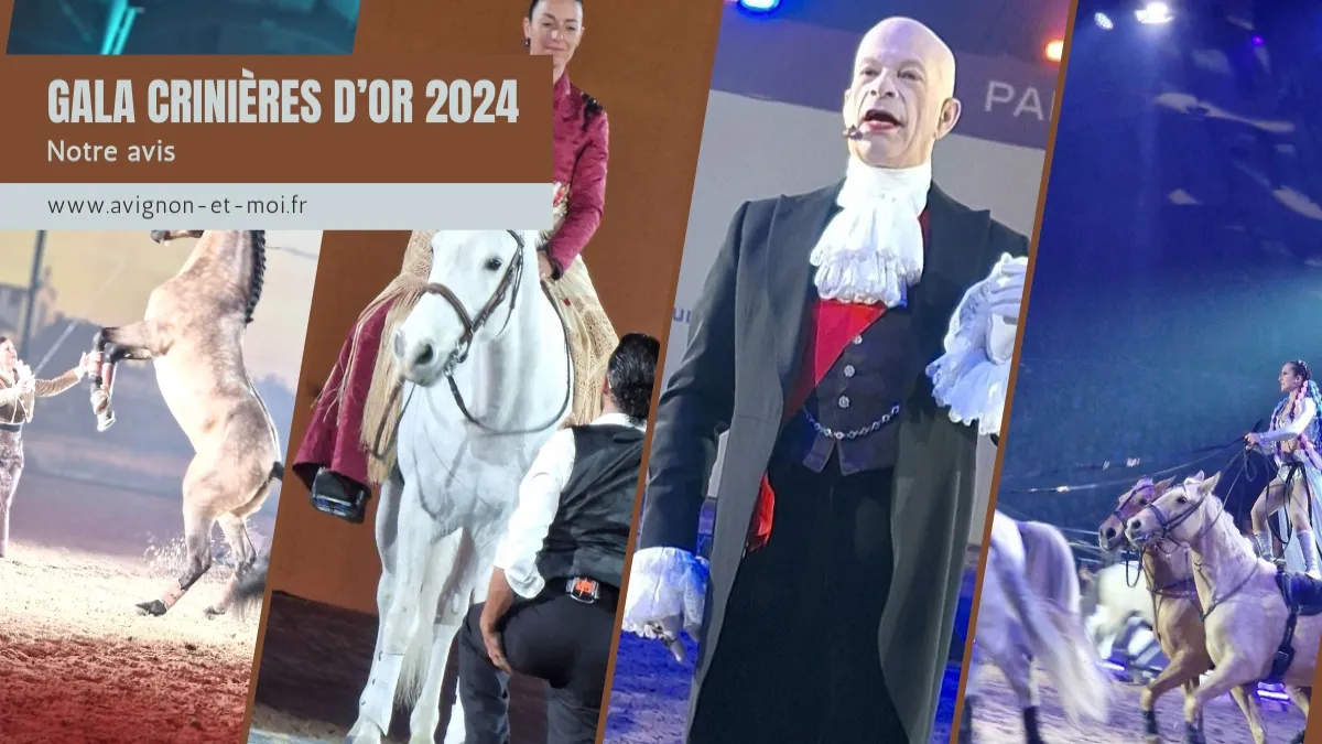 Gala des Crinières d'Or 2024 : un spectacle à Couper le Souffle