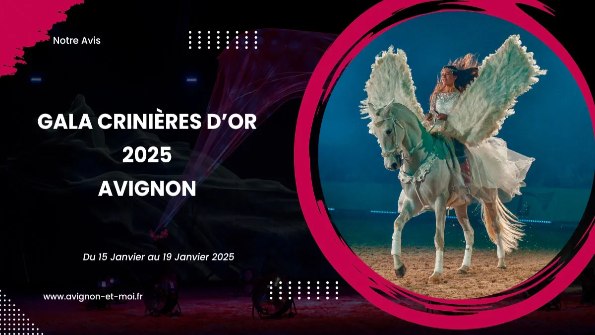 Gala des Crinières d’Or 2025 : des instants suspendus entre ciel et terre