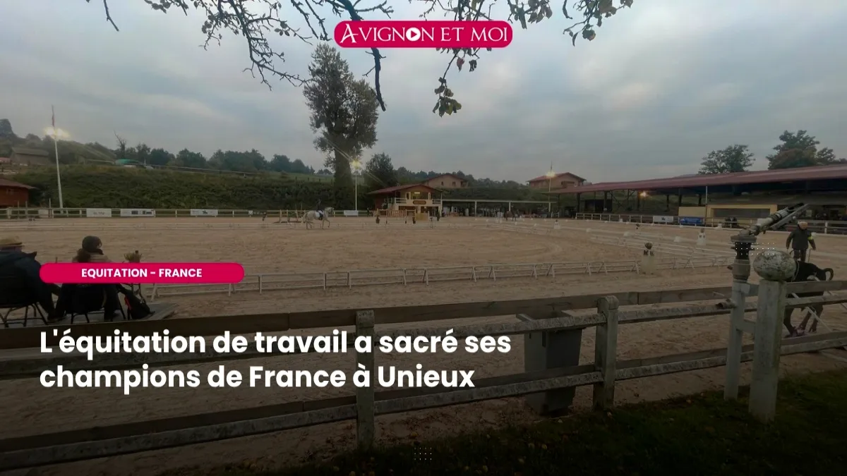 L'équitation de travail a sacré ses champions de France à Unieux