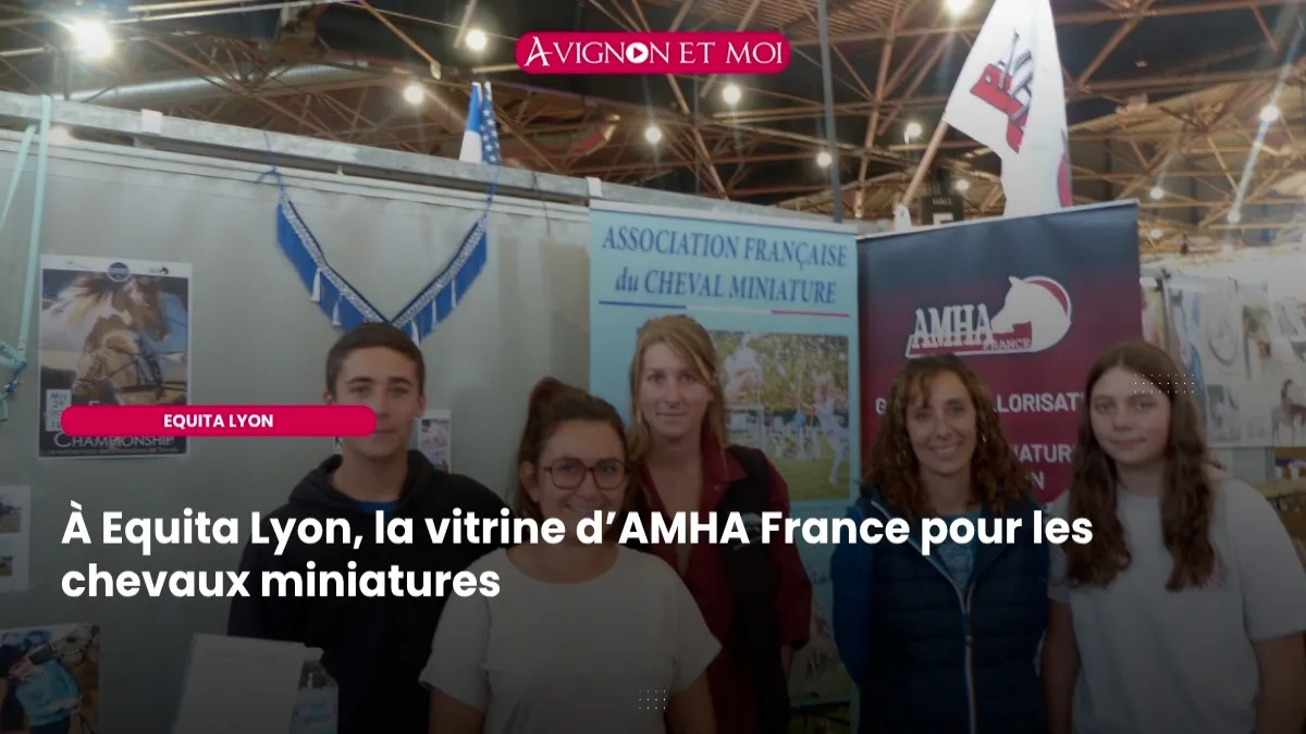Chevaux miniatures américains : AMHA France éclaire une race en plein essor