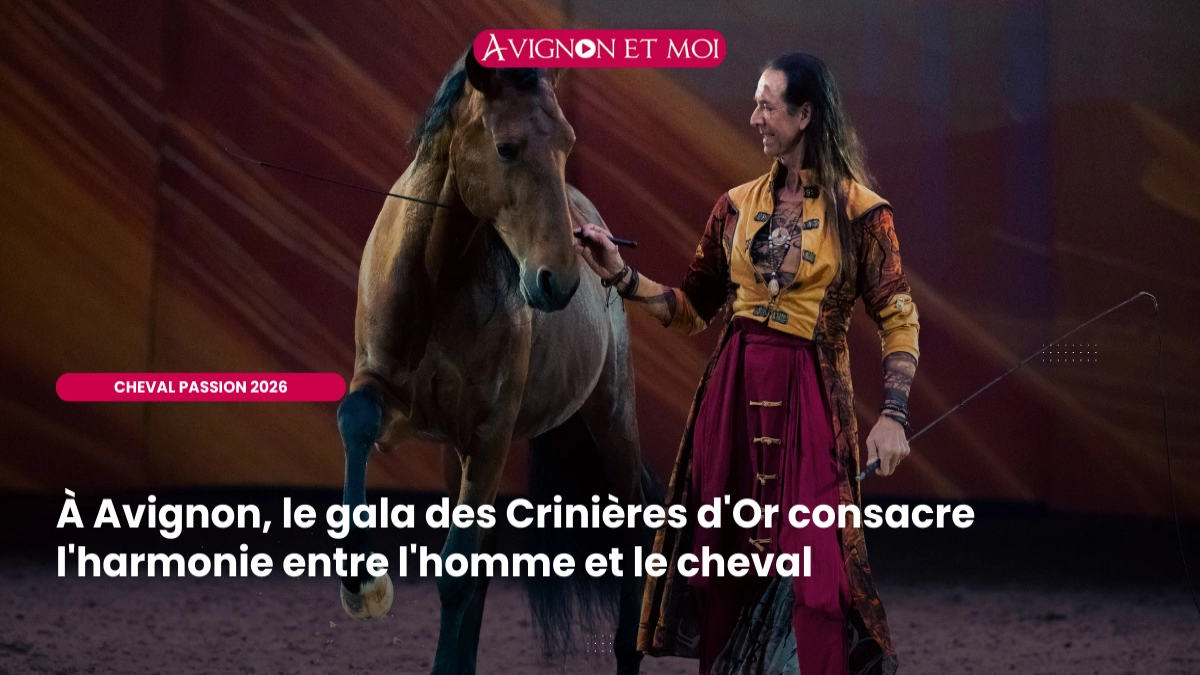 L'éclatante maturité des Crinières d'Or à Avignon