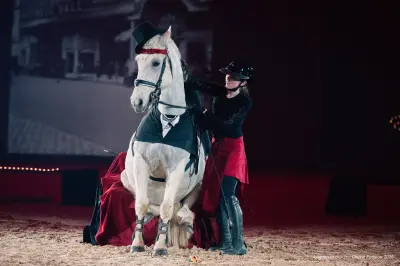 Poney Passion 2026 - 2/4